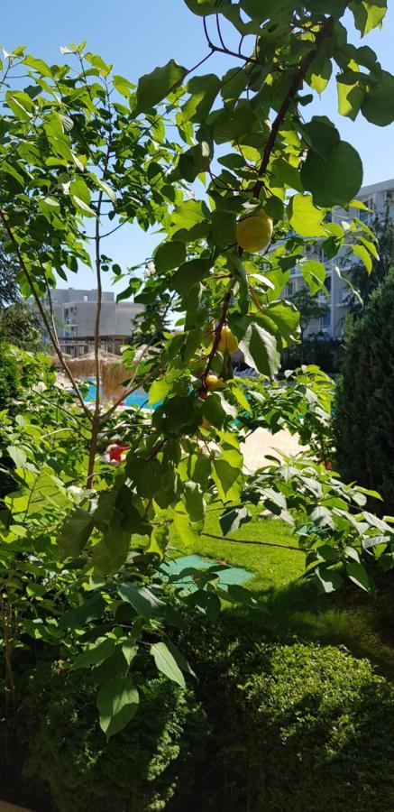 Apartment With Green Terrace Burgas Bagian luar foto